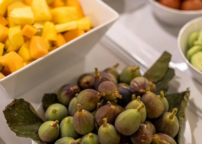 酒店 Hsm San Martino 格巴格南特莫纳斯特尔